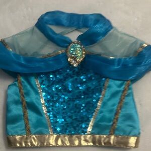 Disney Princess Jasmine Blue and Gold Kids Costume
